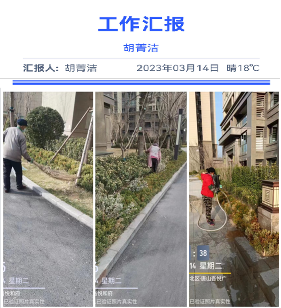 市區(qū)項目3月工作日報