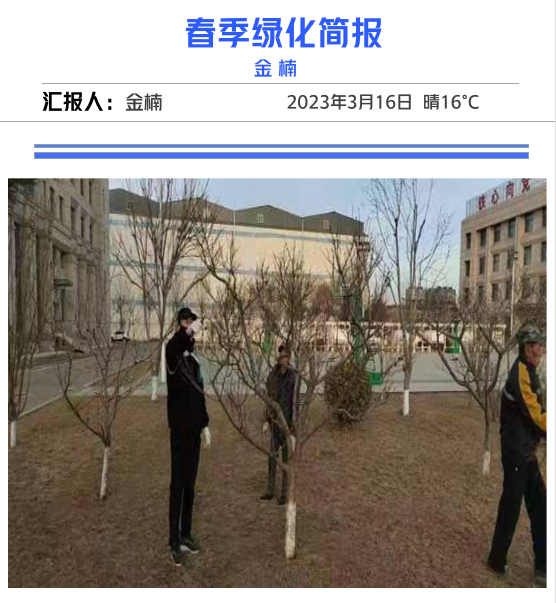 春季修剪好時節(jié)，園林工人修剪忙